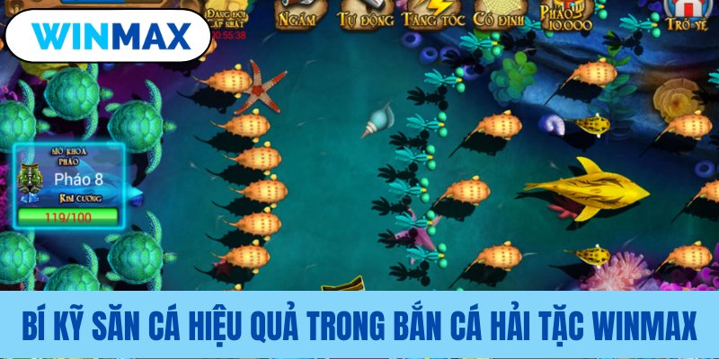 Tổng hợp các mẹo săn cá hay Tổng hợp các mẹo săn cá hay