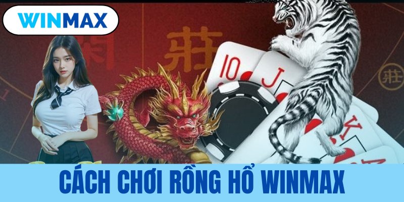 cách chơi rồng hổ Vmax