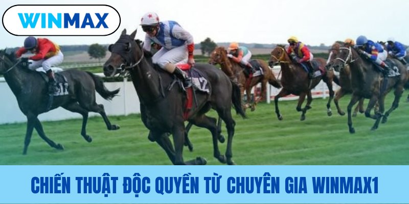 Phương pháp đặt cược hiệu quả từ chuyên gia chien thuat doc quyen tu chuyen gia