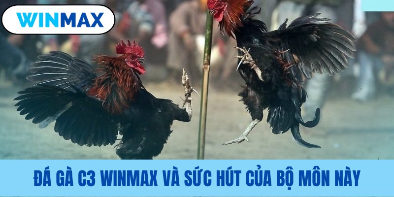 Lý giải sức hấp dẫn của loại hình Lý giải sức hấp dẫn của loại hình