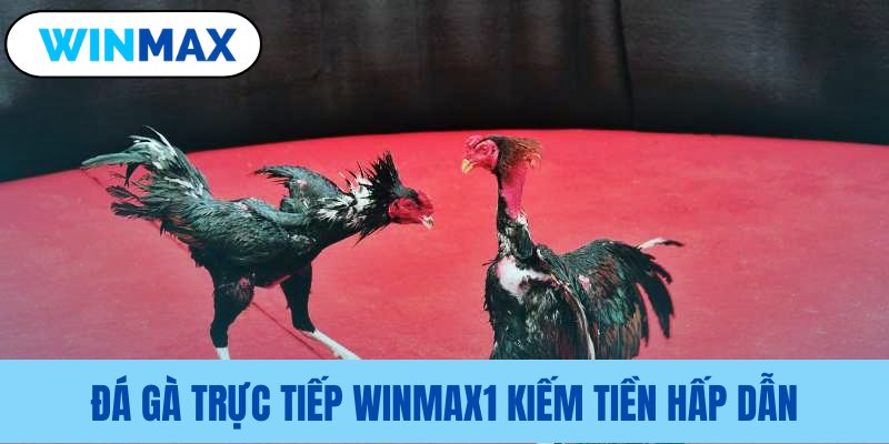Khả năng sinh lợi từ đá gà trực tiếp Vmax Khả năng sinh lợi từ đá gà trực tiếp Vmax