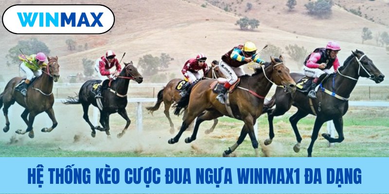Tổng hợp các loại cược đua ngựa he thong keo cuoc dua ngua winmax1 da dang
