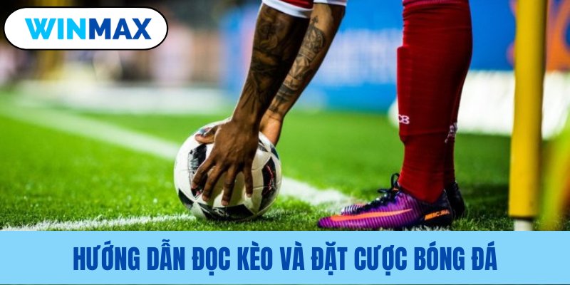 Hướng dẫn các thao tác đặt cược cơ bản