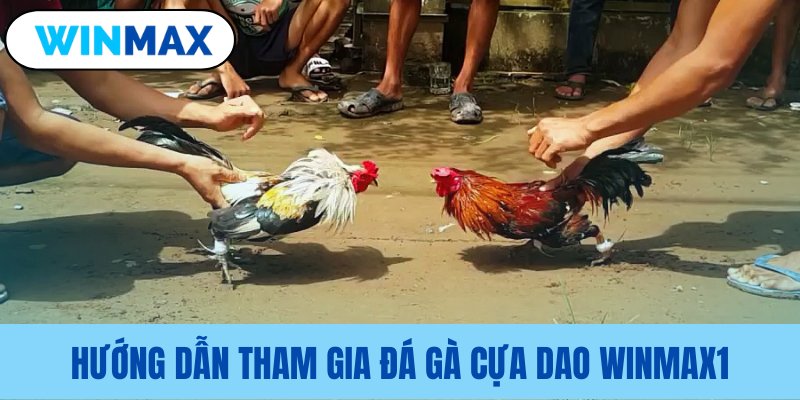 Quy trình cược đá gà cựa dao Vmax Quy trình cược đá gà cựa dao Vmax