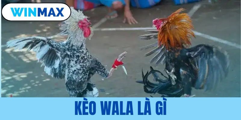 kèo wala là gì