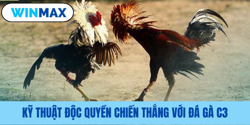 Bí quyết đặc biệt giúp đạt ưu thế trong đá gà C3 Vmax Bí quyết đặc biệt giúp đạt ưu thế trong đá gà C3 Vmax