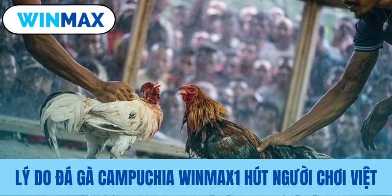 Sức hấp dẫn của Vmax với người Việt Sức hấp dẫn của Vmax với người Việt