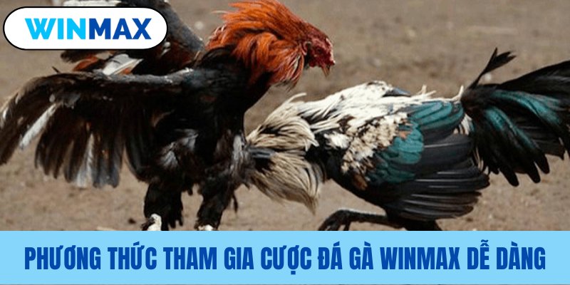 Hướng dẫn các bước đặt cược Winmax đơn giản