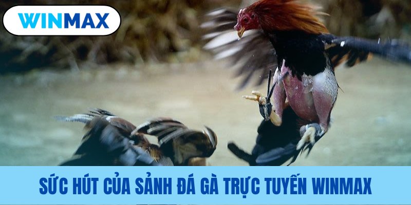 Những ưu điểm nổi bật của sảnh cược